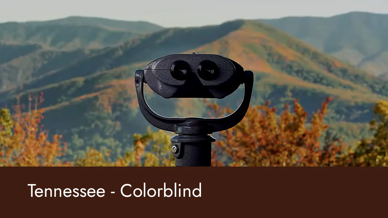 Tennessee Colorblind