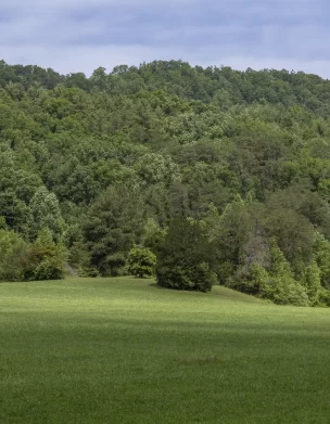 Christy Mission Field (Cutter Gap) – Townsend, TN