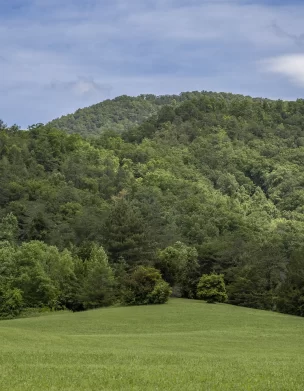 Christy Mission Property Field – Townsend, TN
