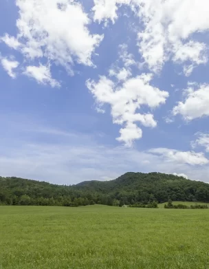 Christy Mission Property Field (Wide) – Townsend, TN