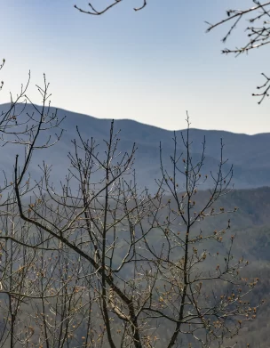 Townsend, TN in the early Spring