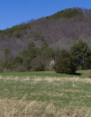 The Cutter Gap mission hidden by foliage in Townsend, TN