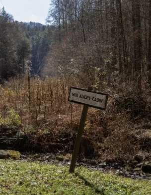 Another view of the site where Miss Alice's cabin stood