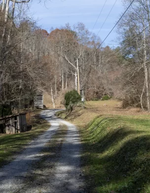 The road to Chapel Hollow