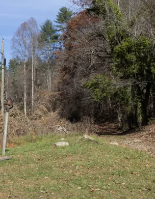 An old roadbed at the Mission (on Chapel Hollow Road)