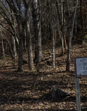 O'Teal Cabin site at Del Rio, TN