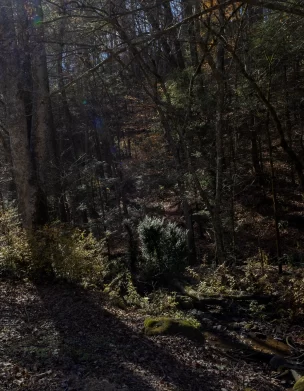 The Mission (on Chapel Hollow Road)