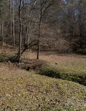An empty field at the Mission in Del Rio, TN
