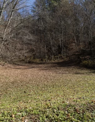 An empty field at the Mission in Del Rio, TN