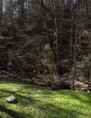 The Mission House Site