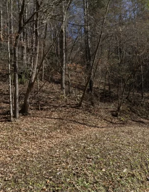 An old road at the Mission in Del Rio, TN
