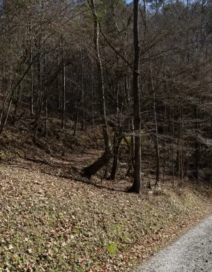 The steep terrain at the Mission in Del Rio, TN